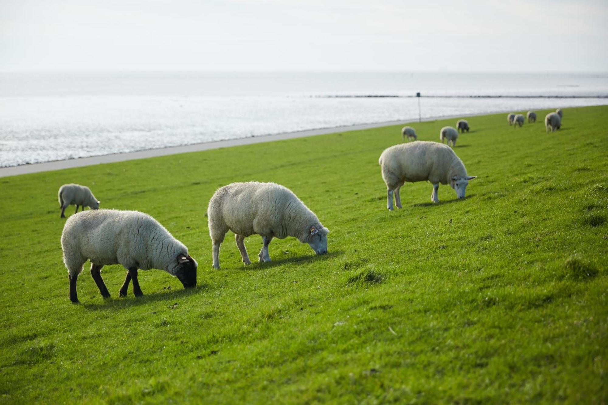 Strandhotel Salty Büsum Zewnętrze zdjęcie